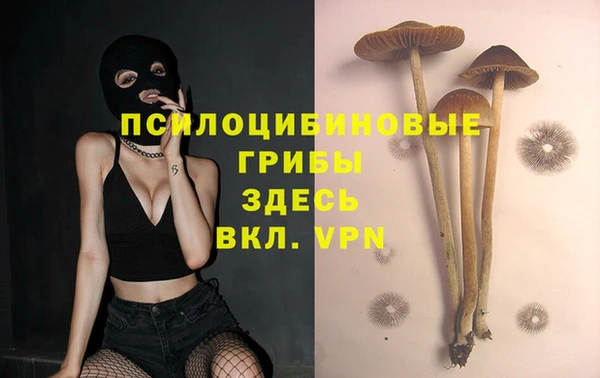 PSILOCYBIN Вязьма