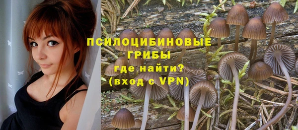 спиды Кулебаки