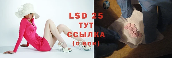 МДПВ Кукмор