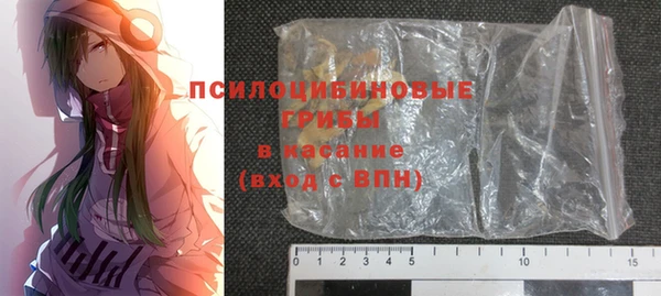 дмт Краснослободск