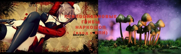 МДПВ Кукмор